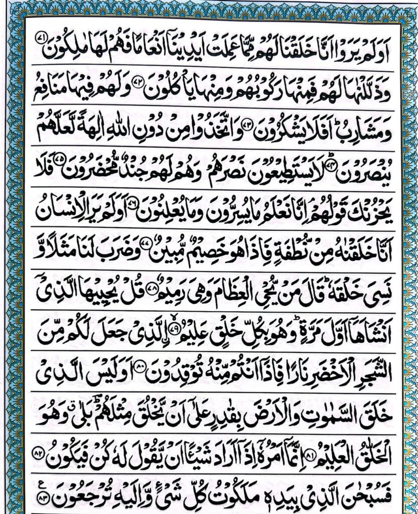 surah yaseen 6